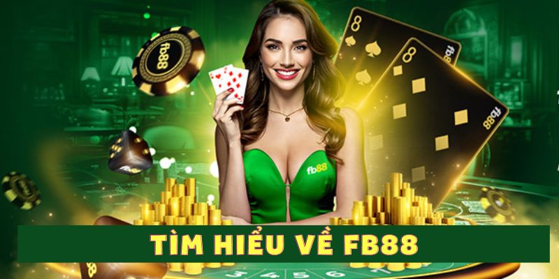 Giới thiệu tổng quan về thương hiệu cho newbie