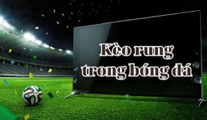 Kèo rung - Tìm hiểu cách đặt cược mang lại cảm xúc bùng nổ